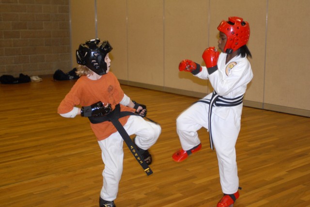 Mastering the &#039;art of hand and foot&#039;:  SKIESUnlimited students learn tae kwon do