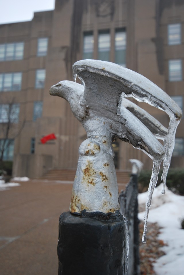 Icy_Eagle_01.JPG