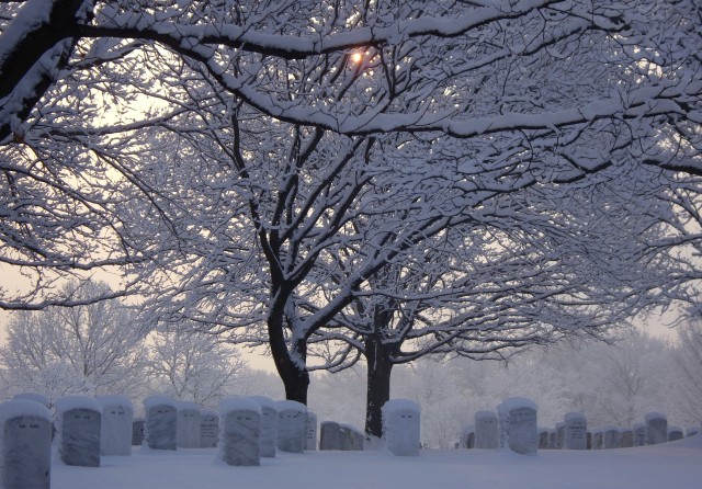 Snow at Arlington National Cemetery