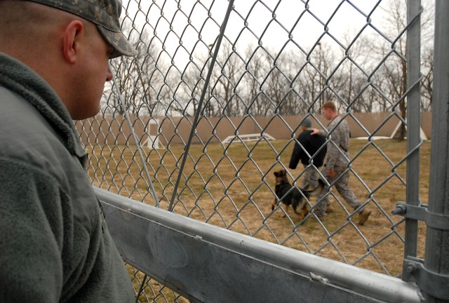 TRADOCAca,!E+working dogs gather for certification