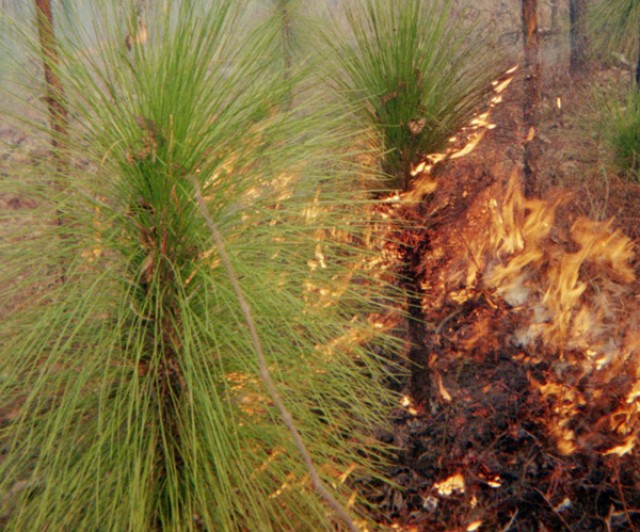 Controlling the fire