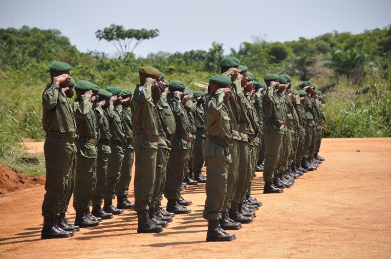 Us Troops In The Congo