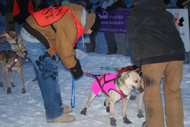 Yukon Quest volunteers