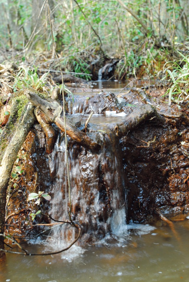 Watershed Management