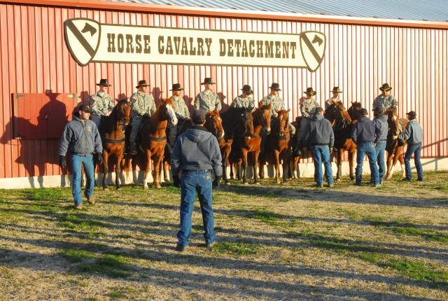 Soldiers from the 2nd Special Troops Battalion, 2nd Brigade Combat Team, 1st Cavalry Division, and horses from the Horse Cavalry Detachment from 1st Cav. Div. line up with the help of troopers from the HCD during a photo shoot on Fort Hood, Texas,...