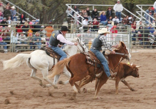 College Rodeo is a stepping stone to professional competition. On Saturday, cowboys and cowgirls showed off their skills at Wren Arena. Several competitors have entered the CNFR arena and Professional Rodeo Cowboys Association's National Finals Rodeo...