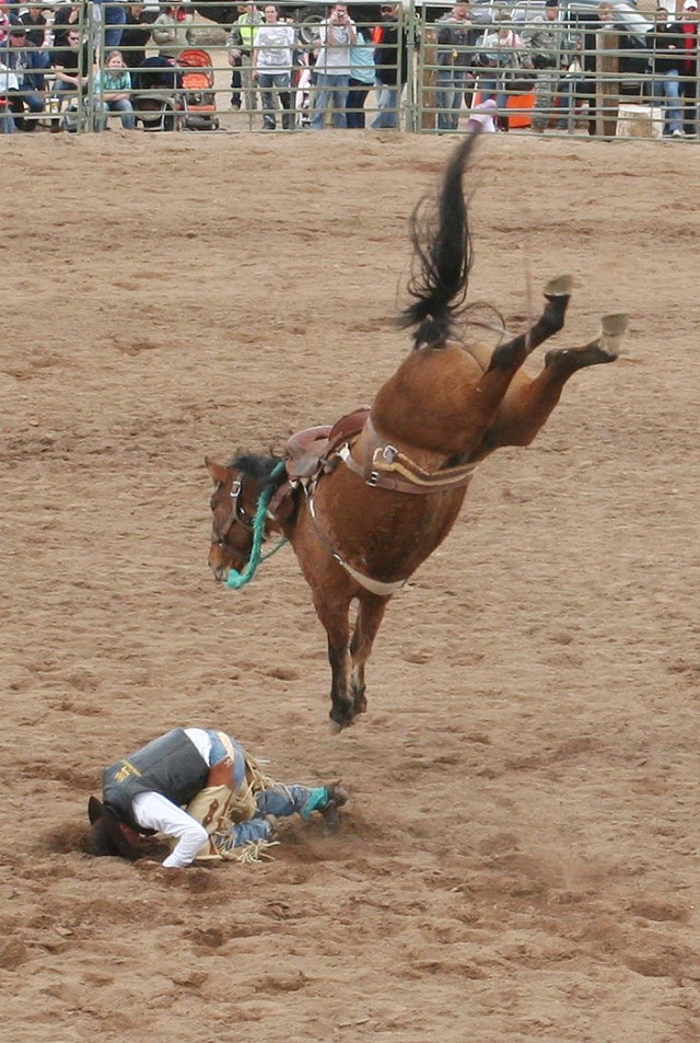 Saddle Bronc Riding is considered by most as the classic rodeo event. Riders have to keep their legs in the stirrups and have the ability to synchronize with a bronc's movement. Since there is nothing solid to hold onto, the rider can only stay in th...