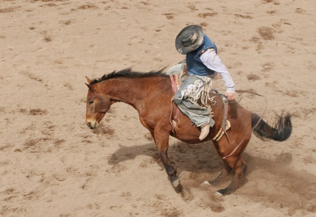 College Rodeo is a stepping stone to professional competition. On March 6, cowboys and cowgirls showed off their skills at Wren Arena. Several competitors have entered the CNFR arena and Professional Rodeo Cowboys Association's National Finals Rodeo ...