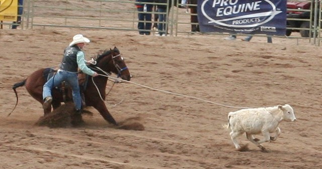 The Tie Down event is a race against time with seconds broken down into smaller increments. To win, the horse and rider must work together with precision teamwork. The rider must rope the calf, throw the calf down, and tie any three legs with a "pigg...