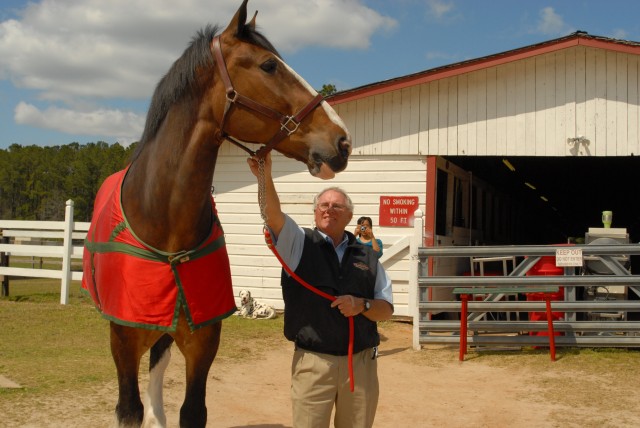 Clydesdale&#039;s at Fort Stewart