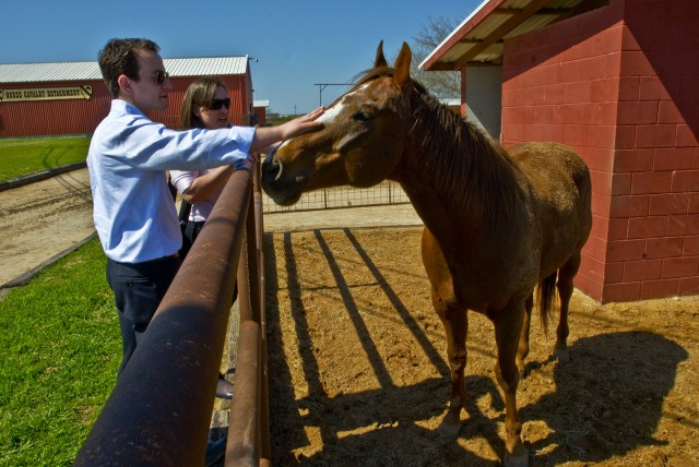 FORT HOOD, Texas-Iraq and Afghanistan Veterans of America Policy Director Jonathon Schleifer, of Washington, D.C. and New York native, Veteran Support Associate, Cara Hammer, visit with 'Zoro', a member of the 1st Cavalry Division Horse Cavalry Detac...