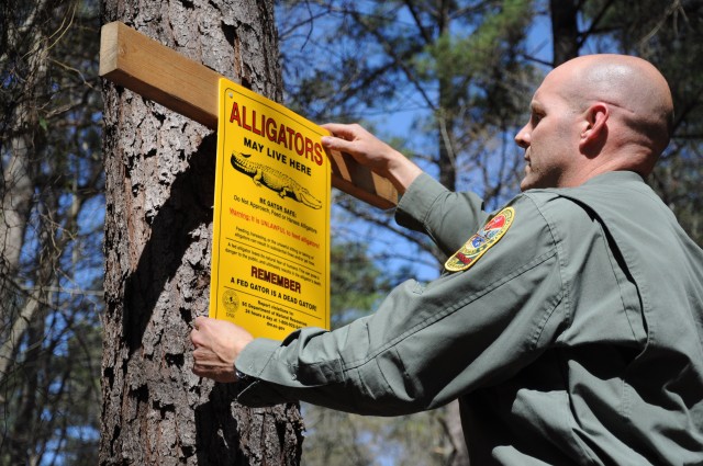 Gator safe: DES says reptiles not a nuisance on post