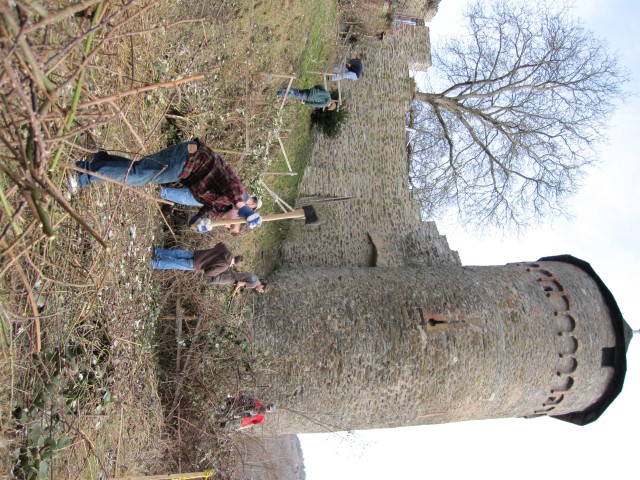 Boy Scouts carry out castle clean-up