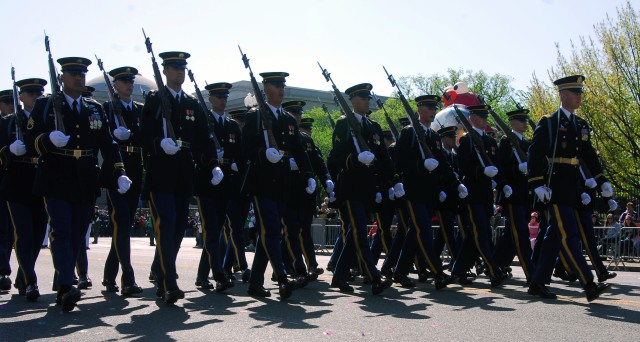 Cherry Blossom Parade