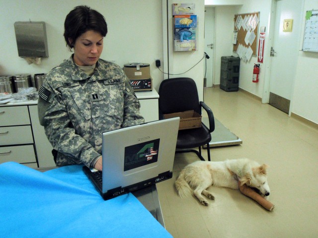 Medical Records for Military Working Dogs Captured with EMR System
