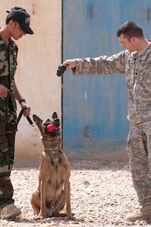 Joint K-9 training