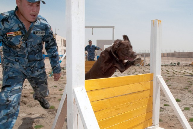 K-9 obstacle course