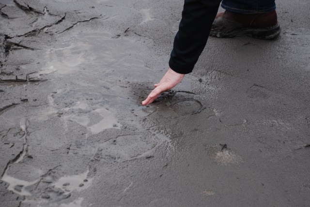 Alison Burcham demonstrates the &quot;pudding-like&quot; texture of the sediment