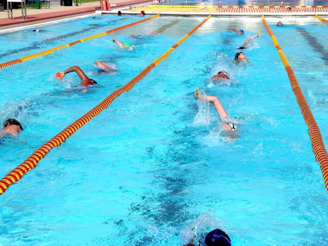 Schofield Sharks swim to healthy mind, body