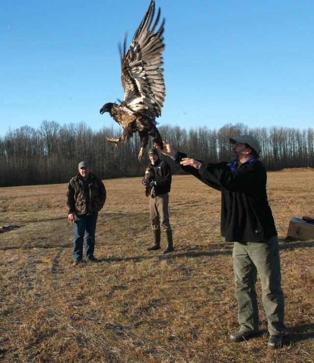 Eagle released