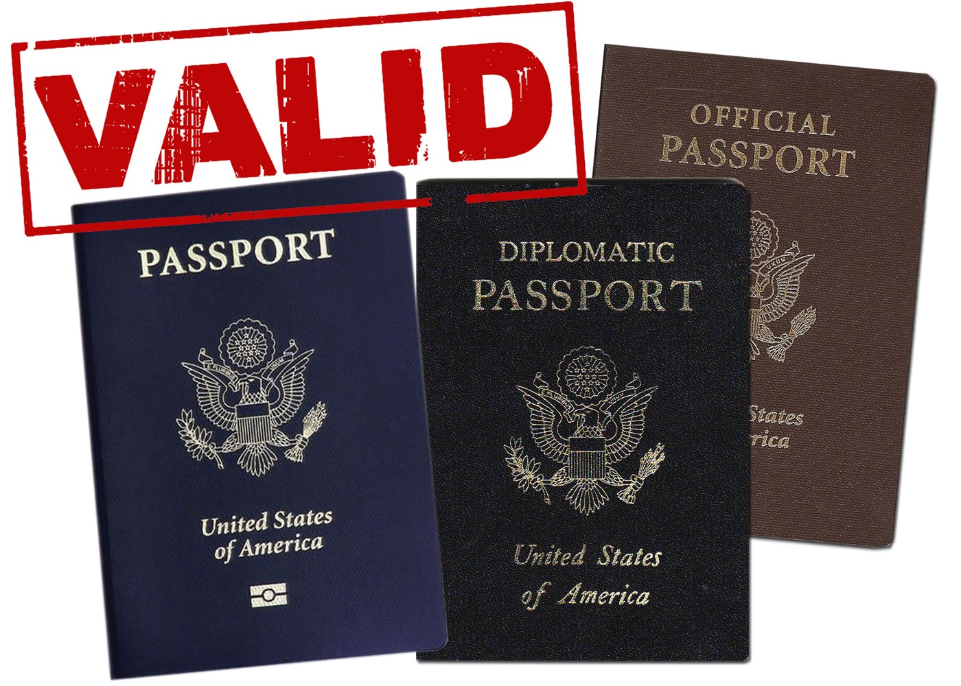 valid passport travel