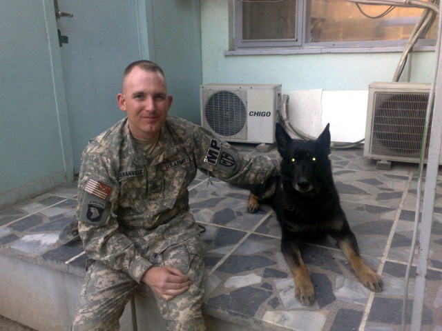 Military working dogs: A tribute to Ardy