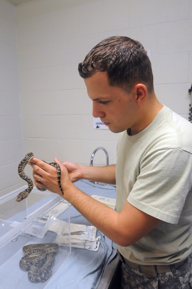 JTF Guantanamo veterinarians conduct snake surgery