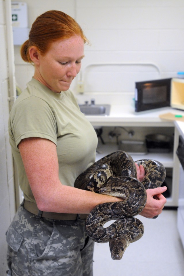 JTF Guantanamo veterinarians conduct snake surgery