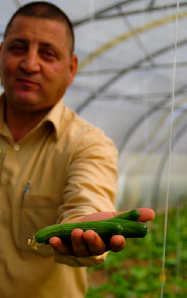 Refining Iraq&#039;s green thumb: Ninewa province gets agricultural overhaul