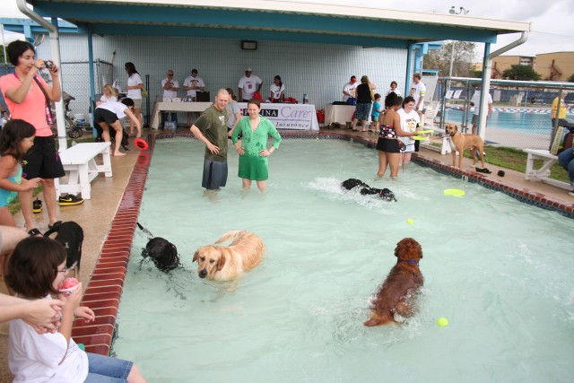 Doggie Dip 1