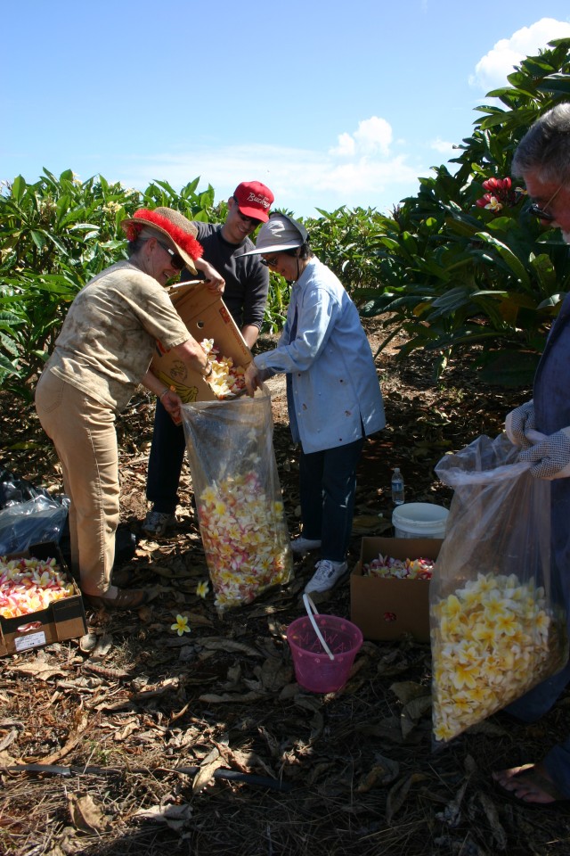 Seniors create, donate lei to venerate veterans, Soldiers