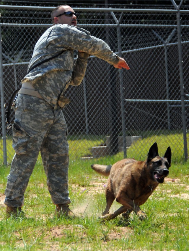 Fort Rucker military working dogs, handlers leave for Afghanistan