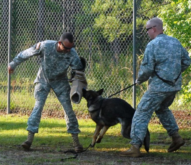 Fort Rucker Canines&#039; nose power helps keep peace