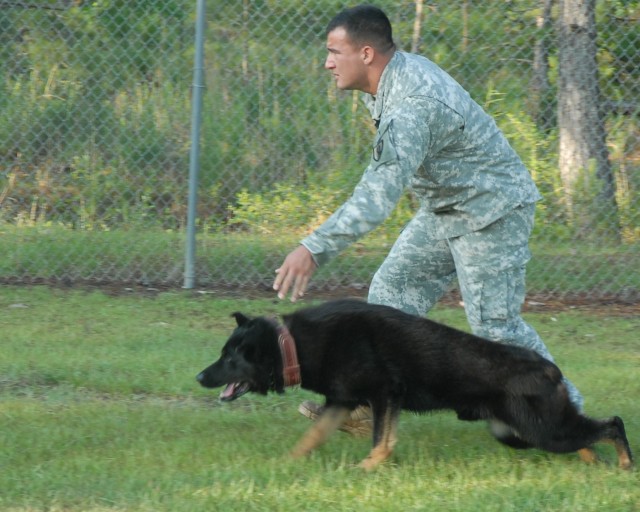 Fort Rucker Canines&#039; nose power helps keep peace