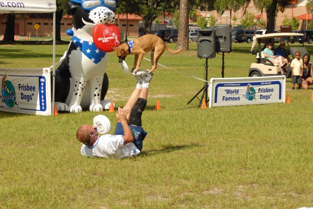 Stewart-Hunter July 4 Frisbee Dog