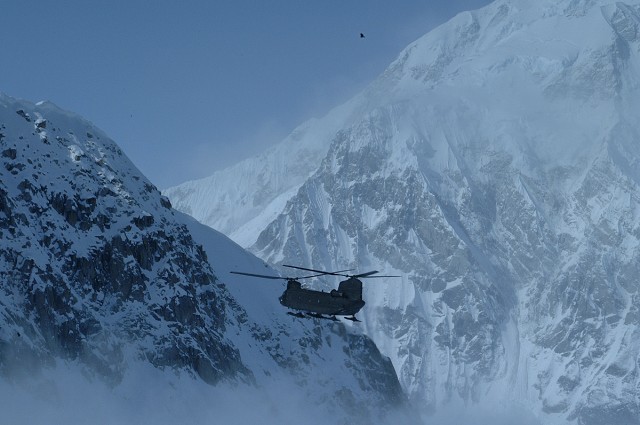 Flying high