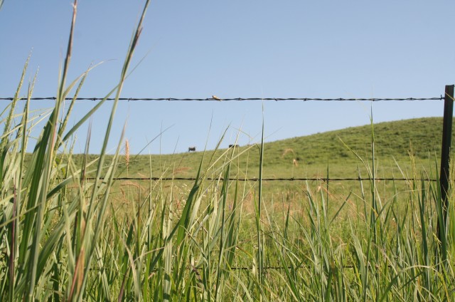 Agreement protects land from development