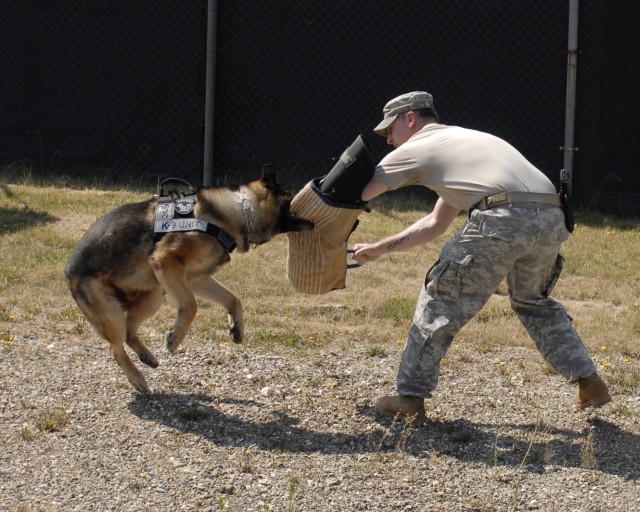 Military Working Dogs take bite out of Camp Bondsteel