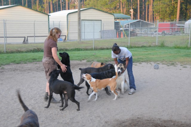 Fort Stewart Pet Boarding facility