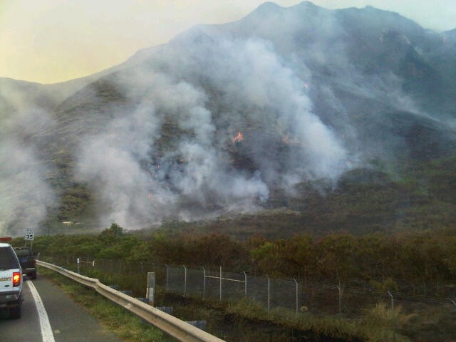 Makua Military Reservation fire burns 486 acres