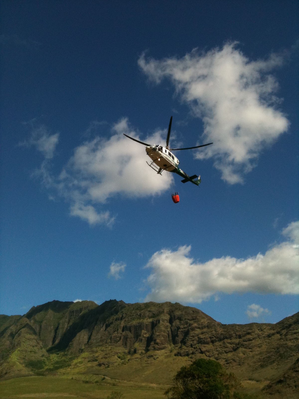 Makua Military Reservation fire burns 486 acres | Article | The United ...