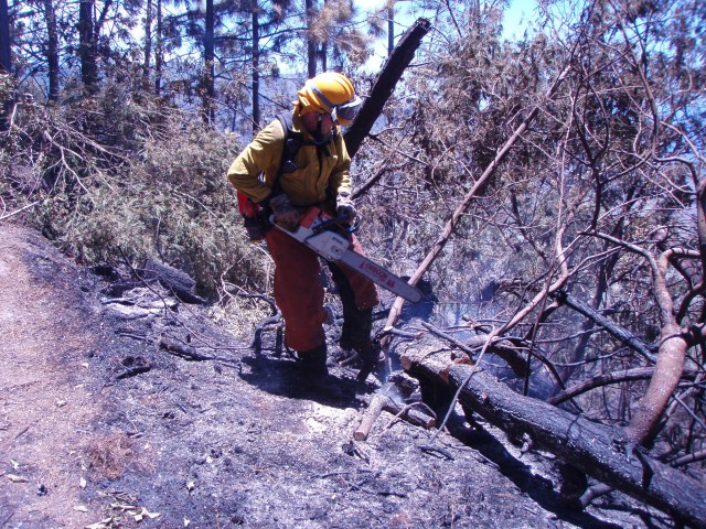 Makua Military Reservation fire burns 486 acres