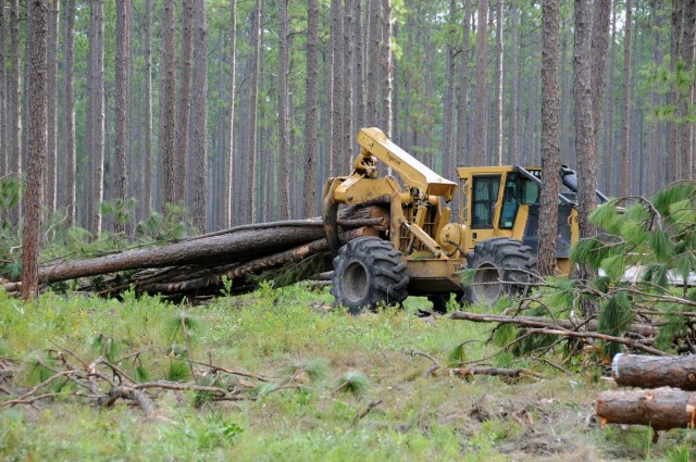 Stewart-Hunter timber industry