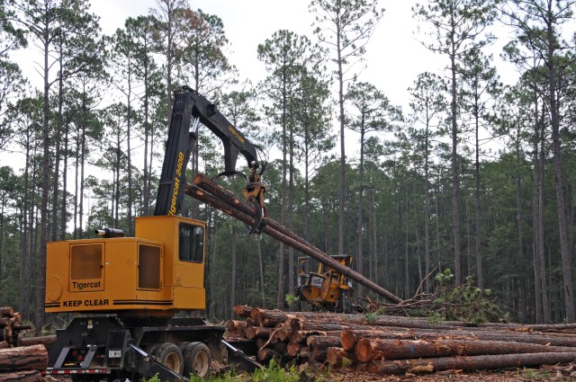 Timber industry big for Georgia, Stewart-Hunter 