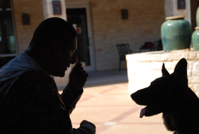 Dog Therapy 3