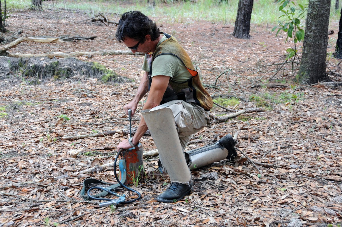 Forestry technicians' work has real ups and downs | Article | The ...