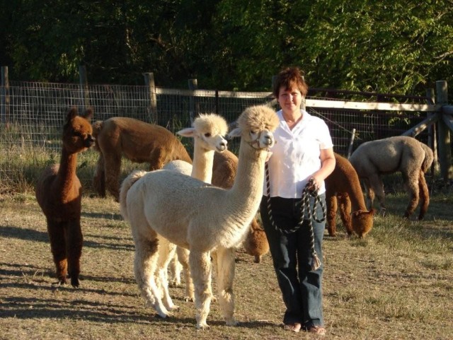 Price and one of her alpacas.