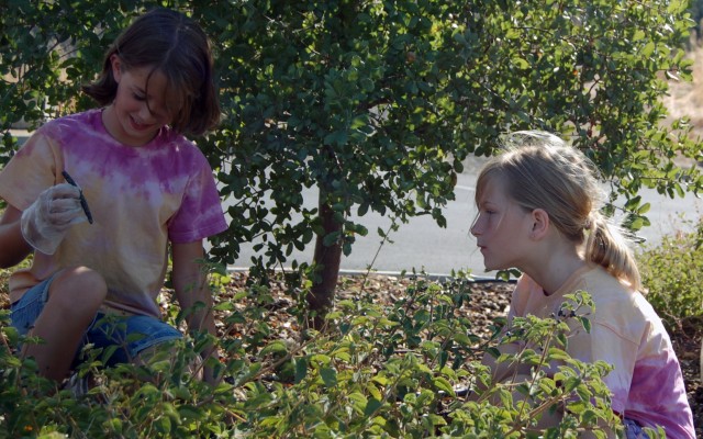 Corps parks and volunteers celebrate, improve public lands