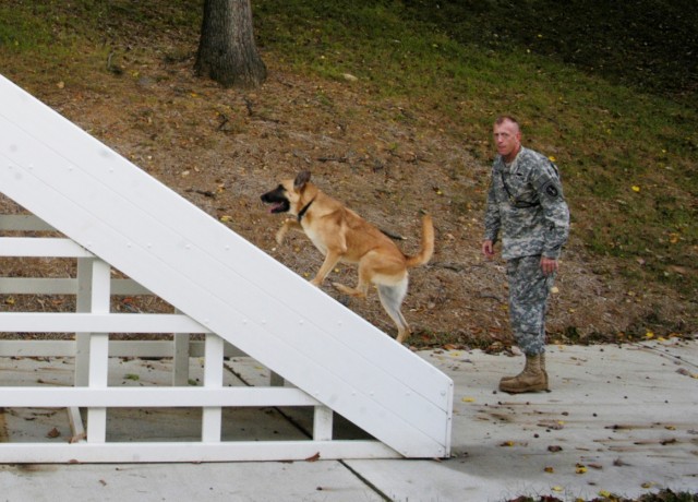 MDW pilot program to debut search, rescue dogs at Capital Shield