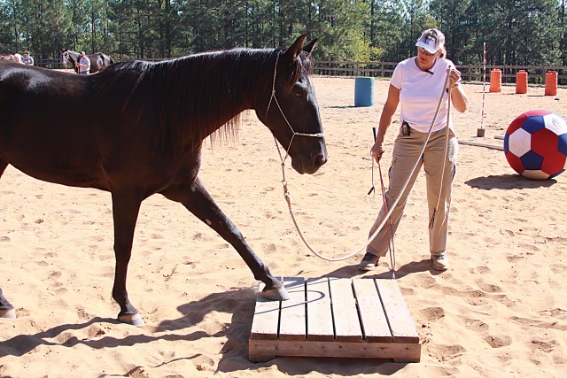 Communicating Equine